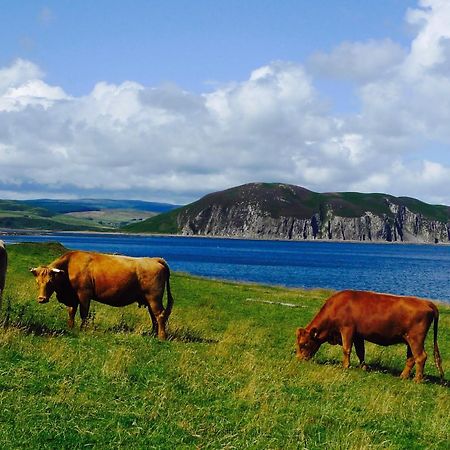 Rural Farmhouse On Kintyre, West Coast Hidden Gem Kildalloig Εξωτερικό φωτογραφία