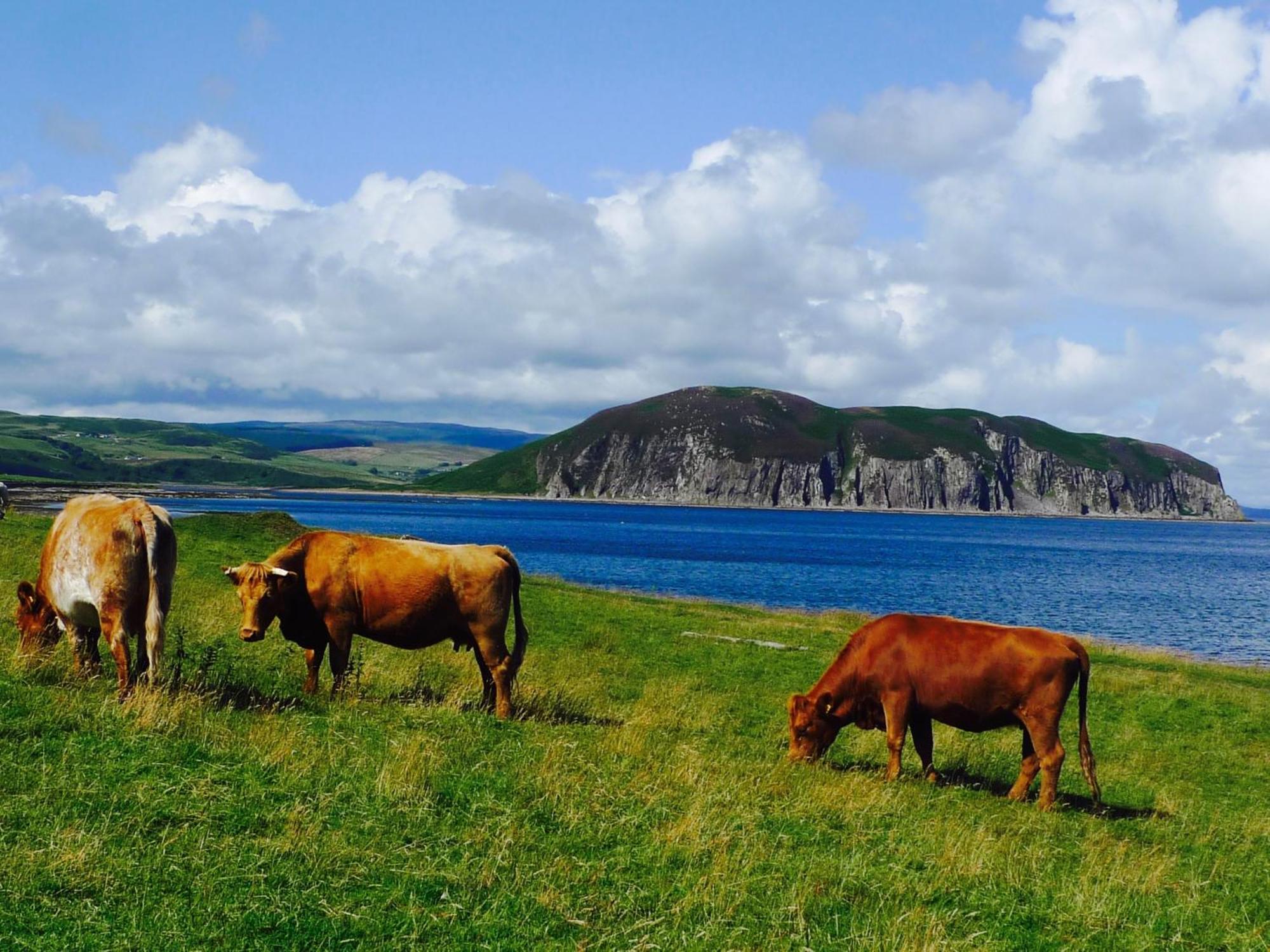 Rural Farmhouse On Kintyre, West Coast Hidden Gem Kildalloig Εξωτερικό φωτογραφία